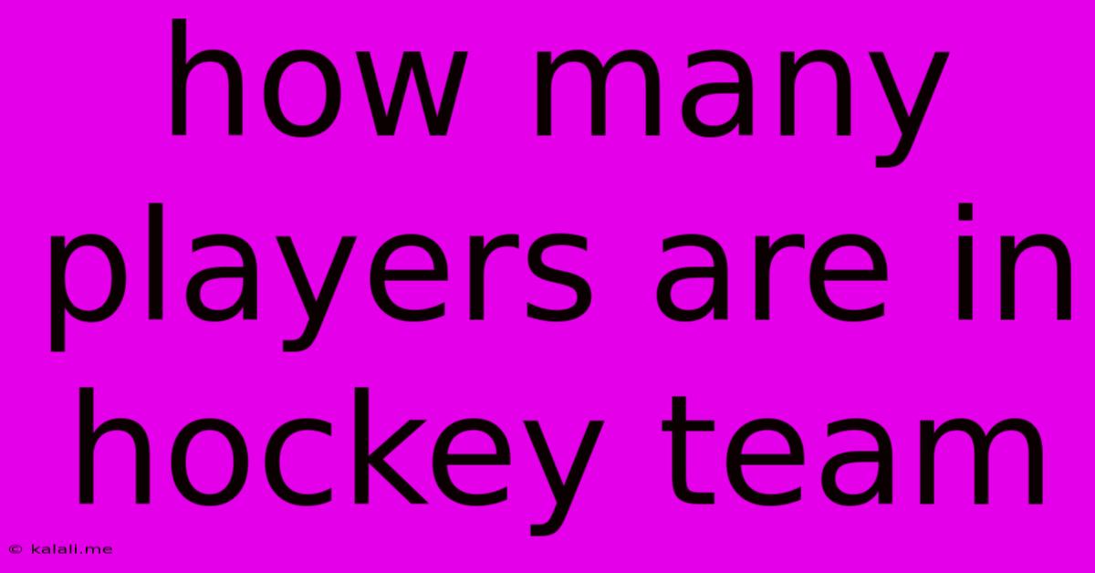 How Many Players Are In Hockey Team
