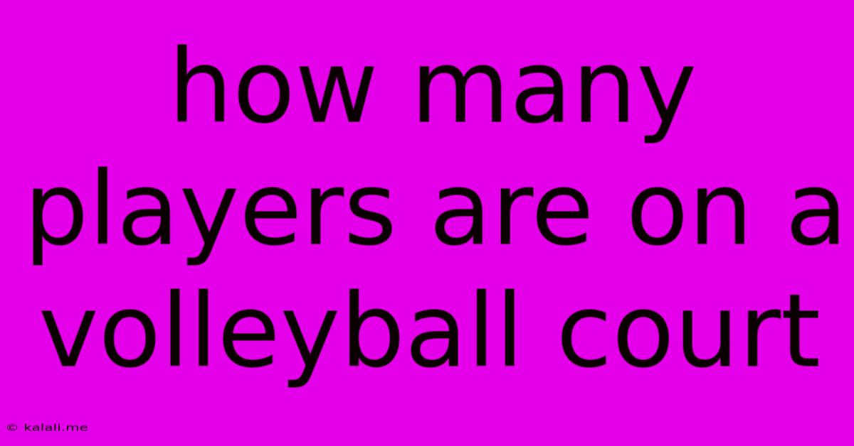 How Many Players Are On A Volleyball Court