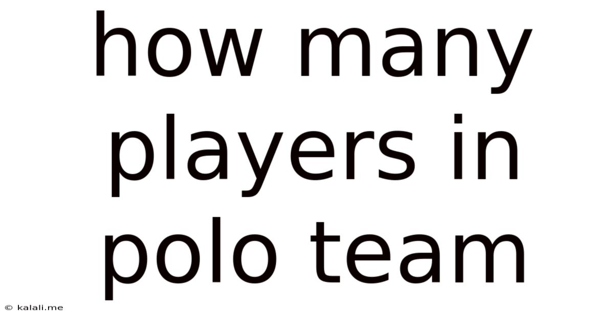 How Many Players In Polo Team