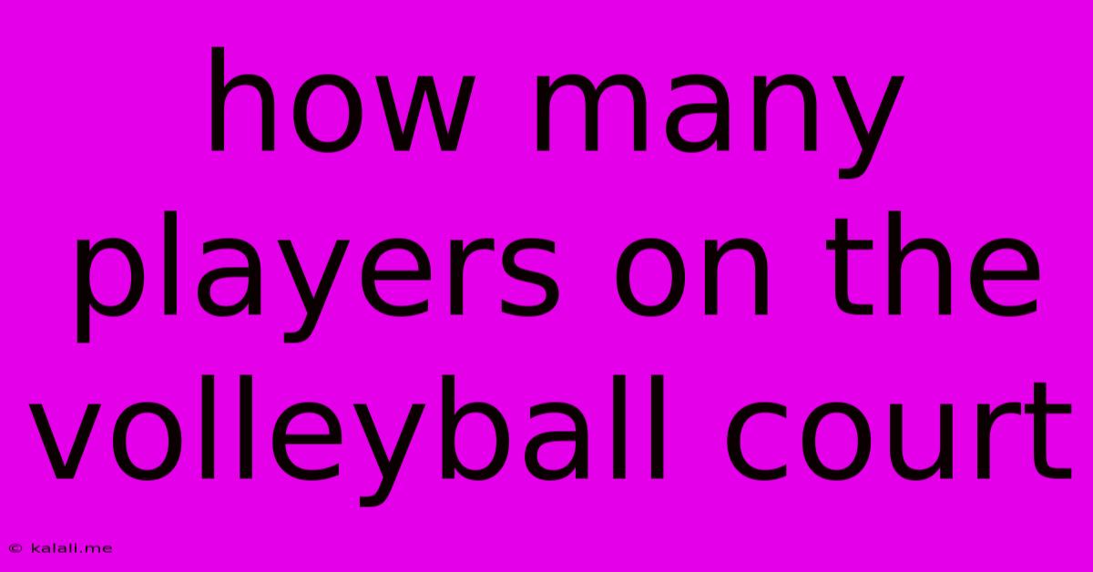 How Many Players On The Volleyball Court