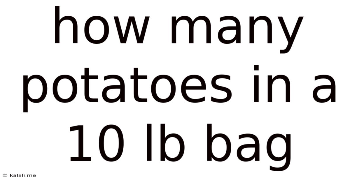 How Many Potatoes In A 10 Lb Bag