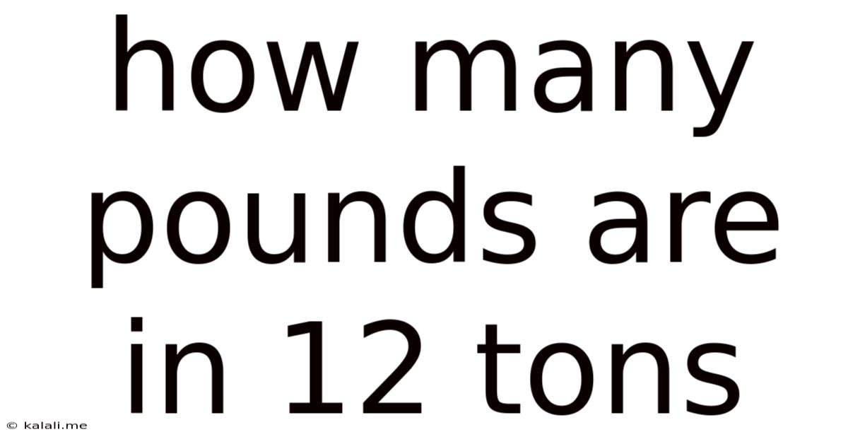 How Many Pounds Are In 12 Tons