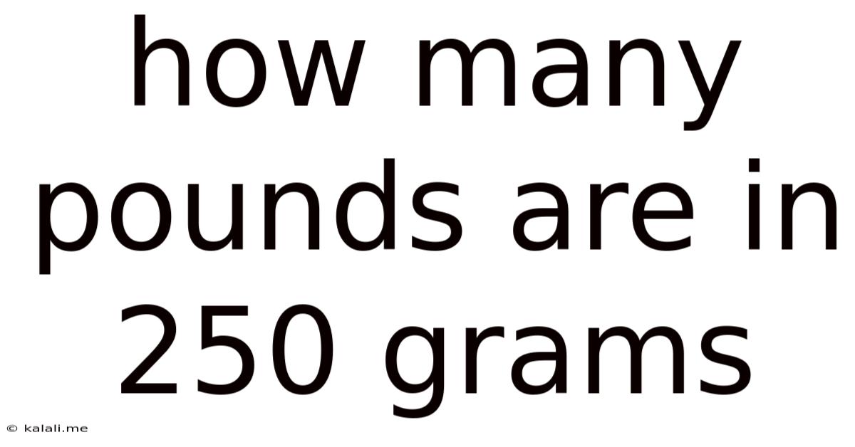 How Many Pounds Are In 250 Grams