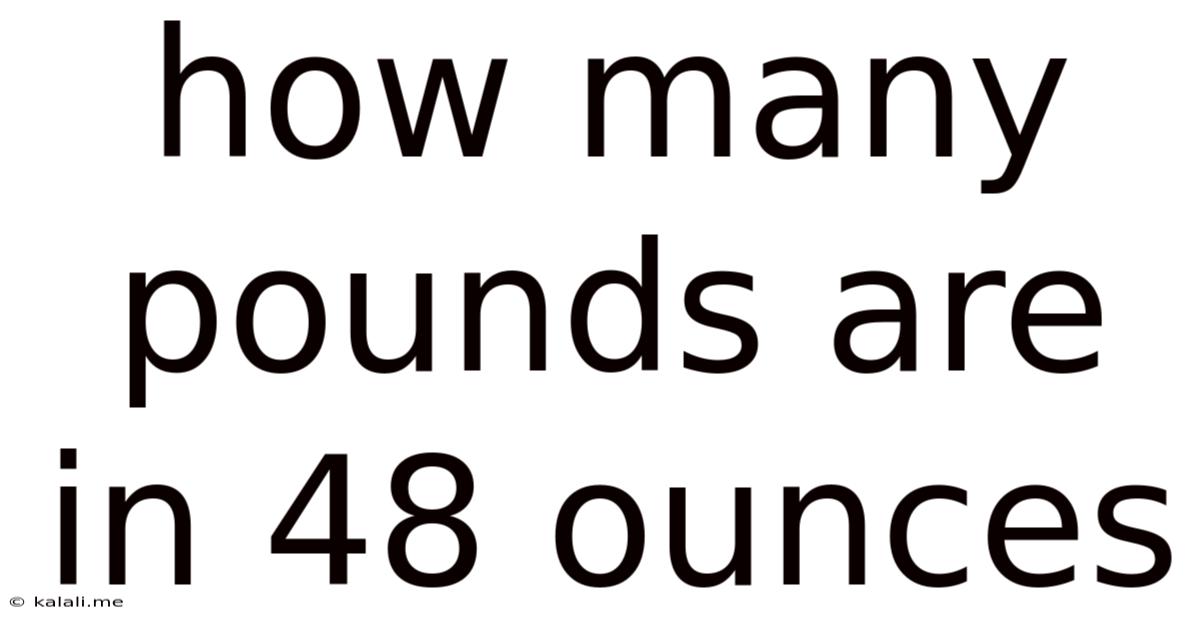How Many Pounds Are In 48 Ounces