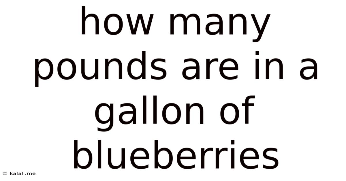 How Many Pounds Are In A Gallon Of Blueberries
