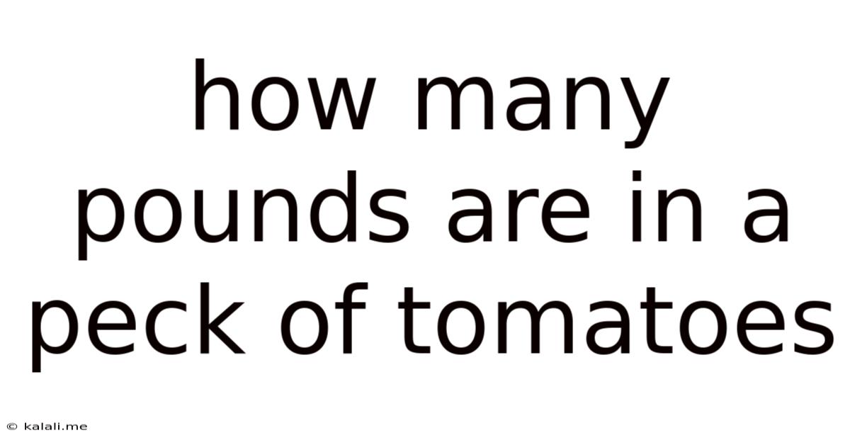 How Many Pounds Are In A Peck Of Tomatoes