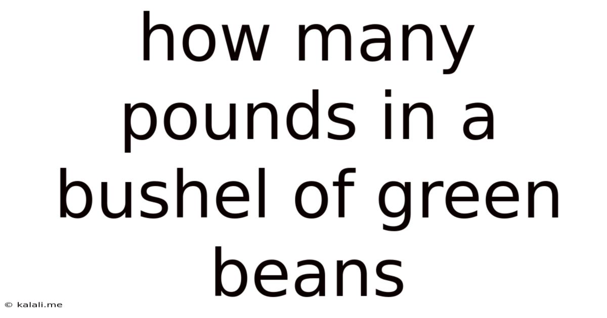 How Many Pounds In A Bushel Of Green Beans