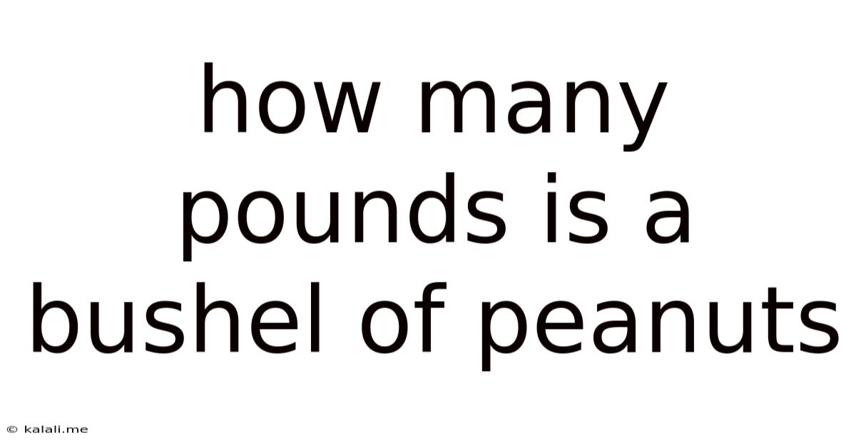 How Many Pounds Is A Bushel Of Peanuts
