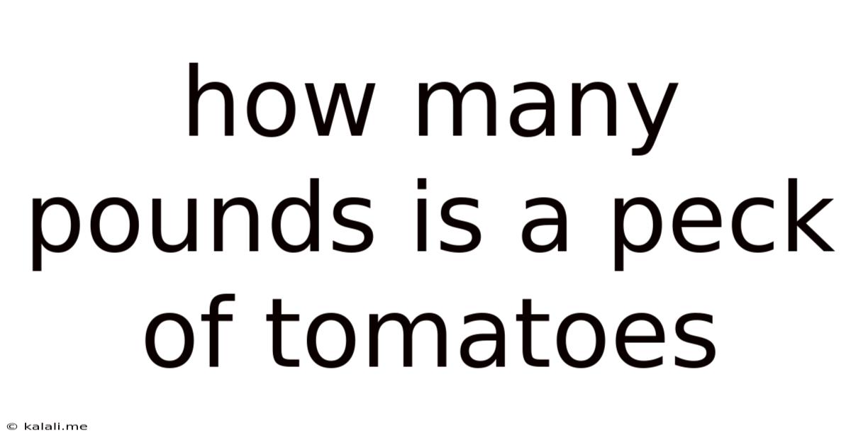 How Many Pounds Is A Peck Of Tomatoes
