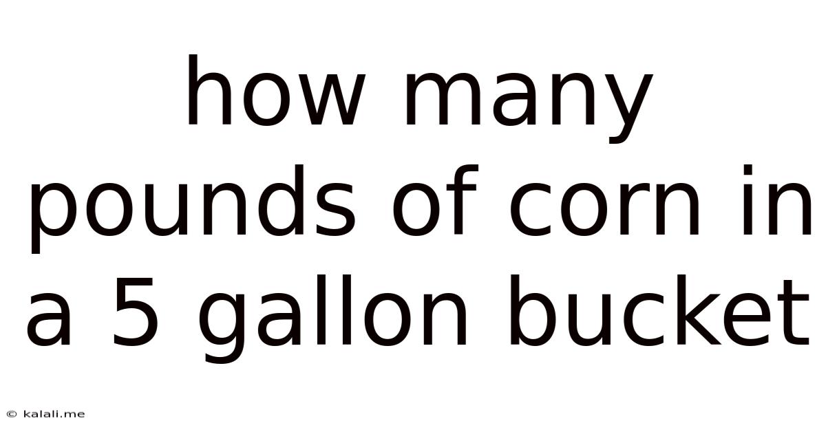 How Many Pounds Of Corn In A 5 Gallon Bucket