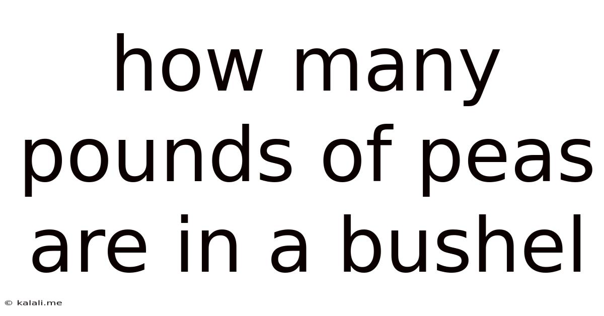 How Many Pounds Of Peas Are In A Bushel