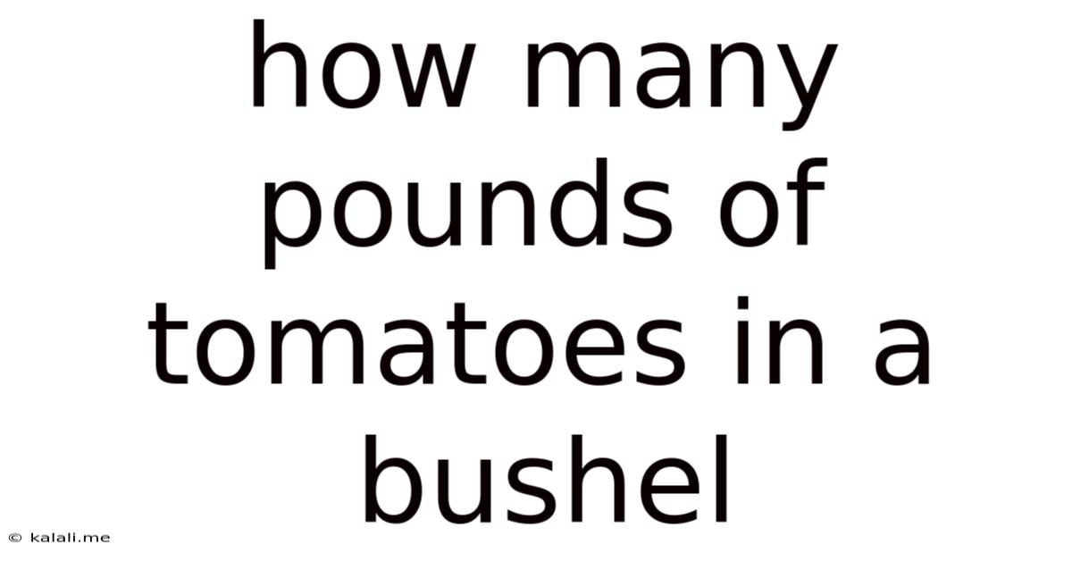 How Many Pounds Of Tomatoes In A Bushel