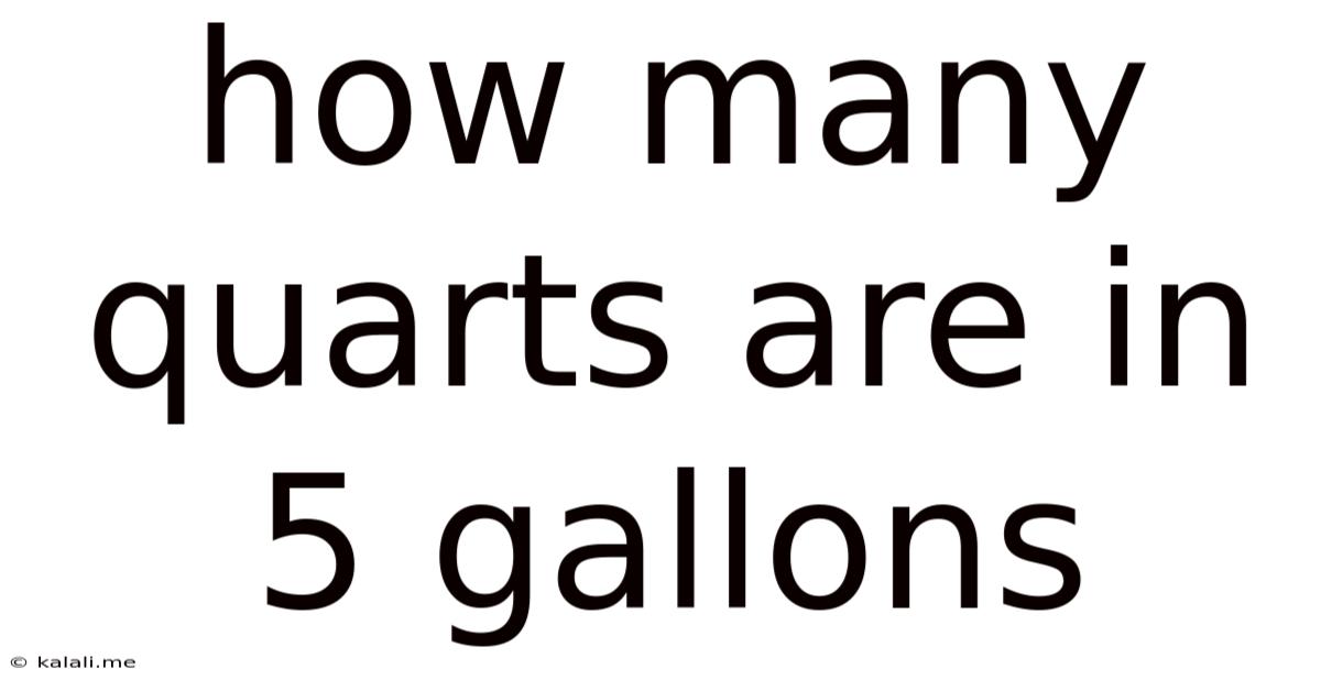 How Many Quarts Are In 5 Gallons