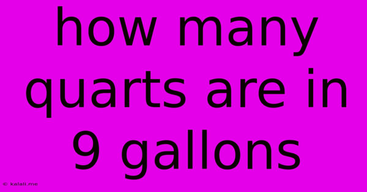 How Many Quarts Are In 9 Gallons