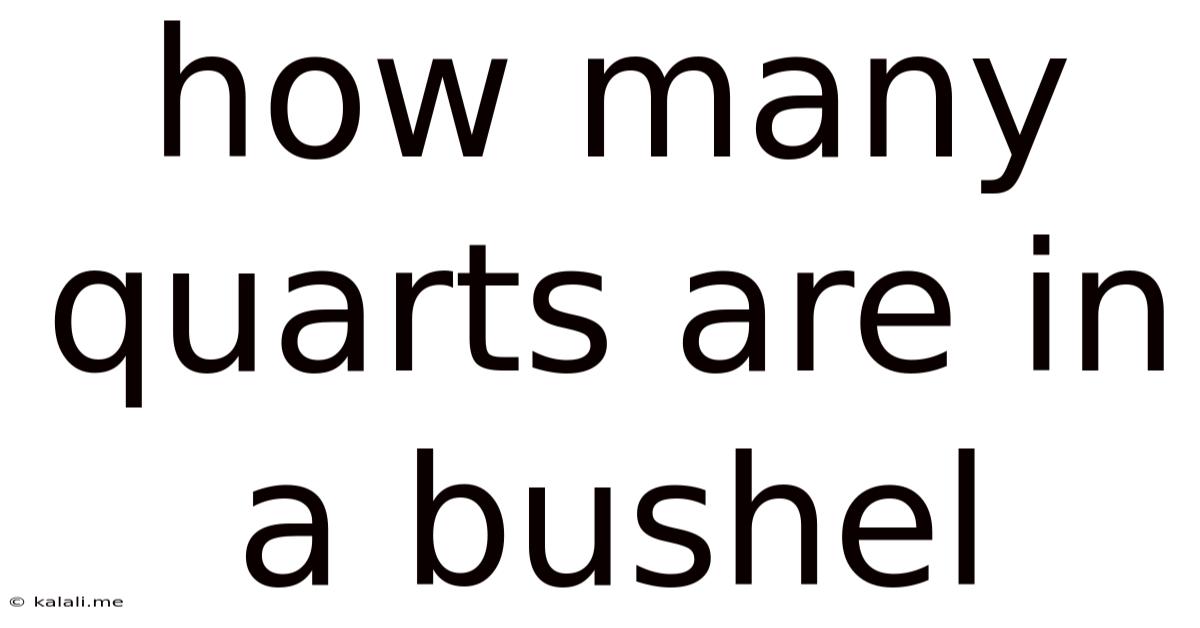 How Many Quarts Are In A Bushel