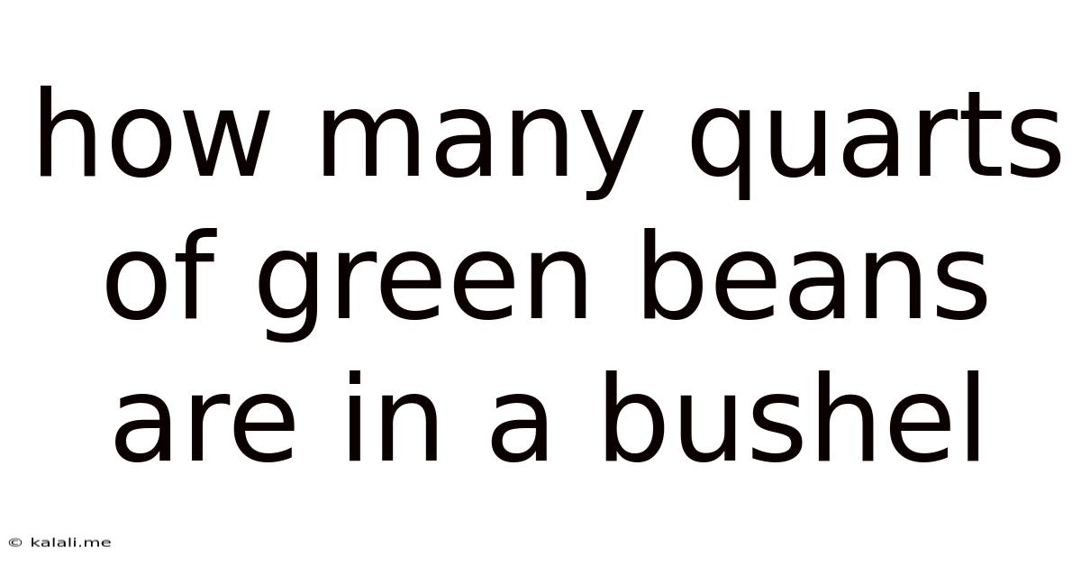 How Many Quarts Of Green Beans Are In A Bushel