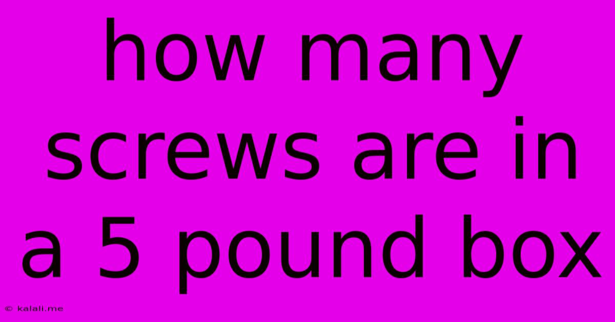 How Many Screws Are In A 5 Pound Box