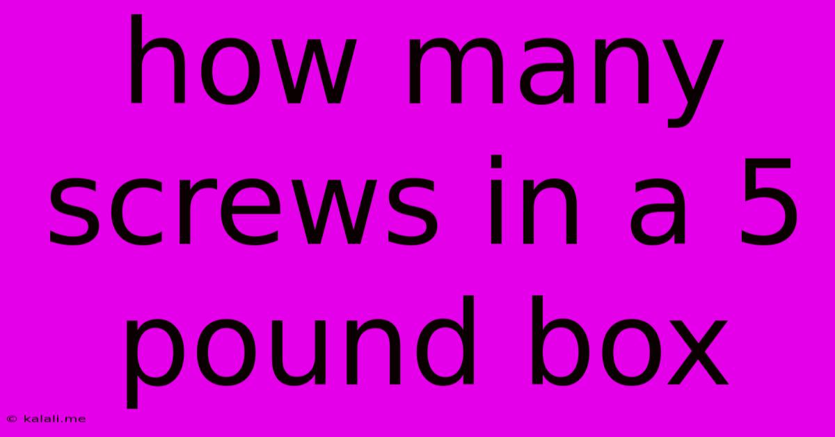 How Many Screws In A 5 Pound Box