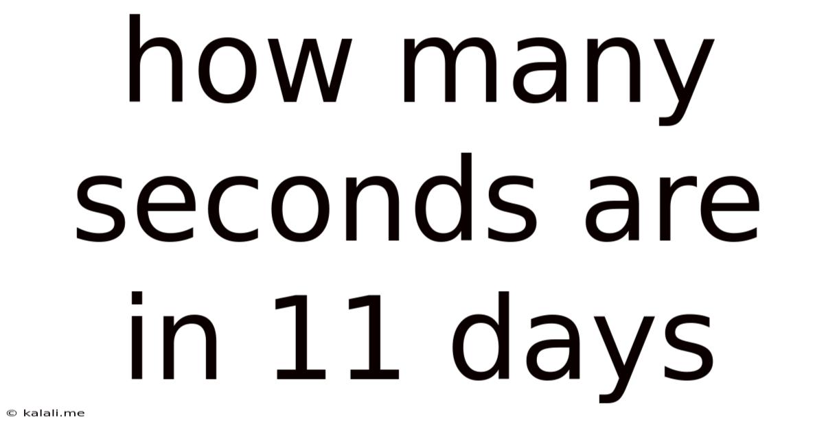 How Many Seconds Are In 11 Days