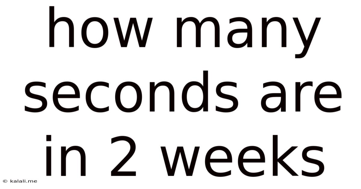 How Many Seconds Are In 2 Weeks