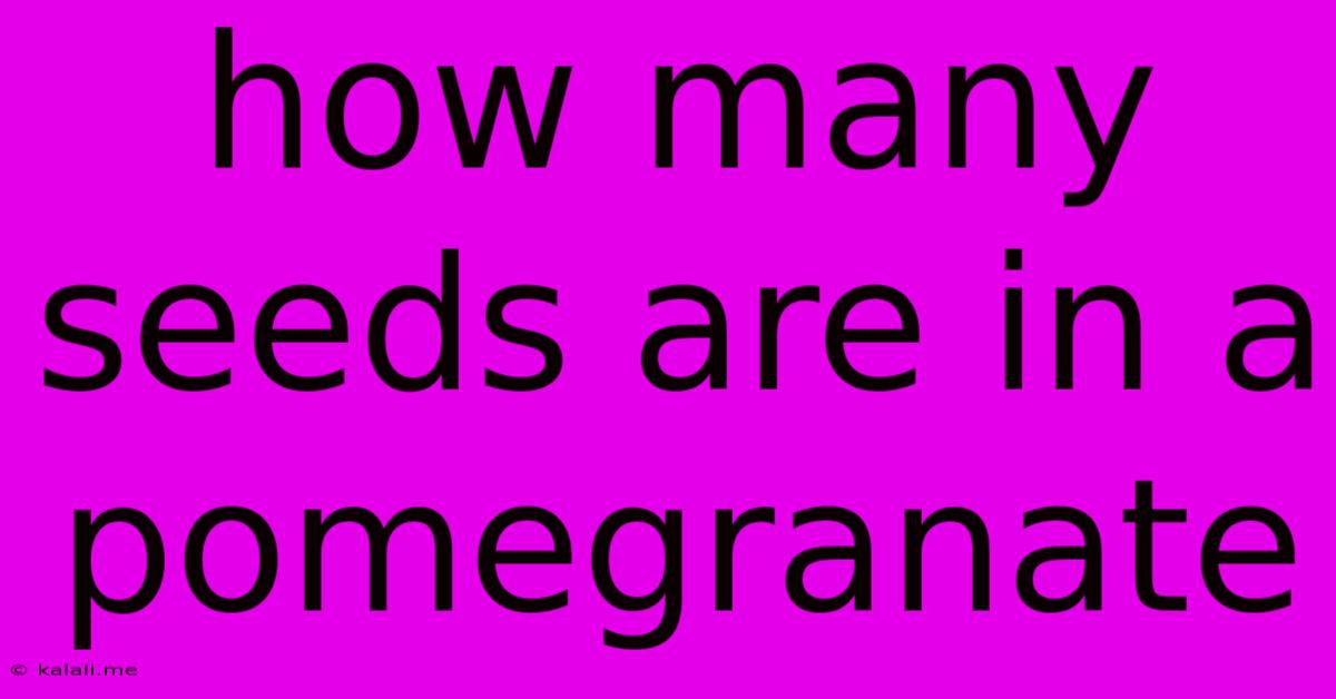 How Many Seeds Are In A Pomegranate
