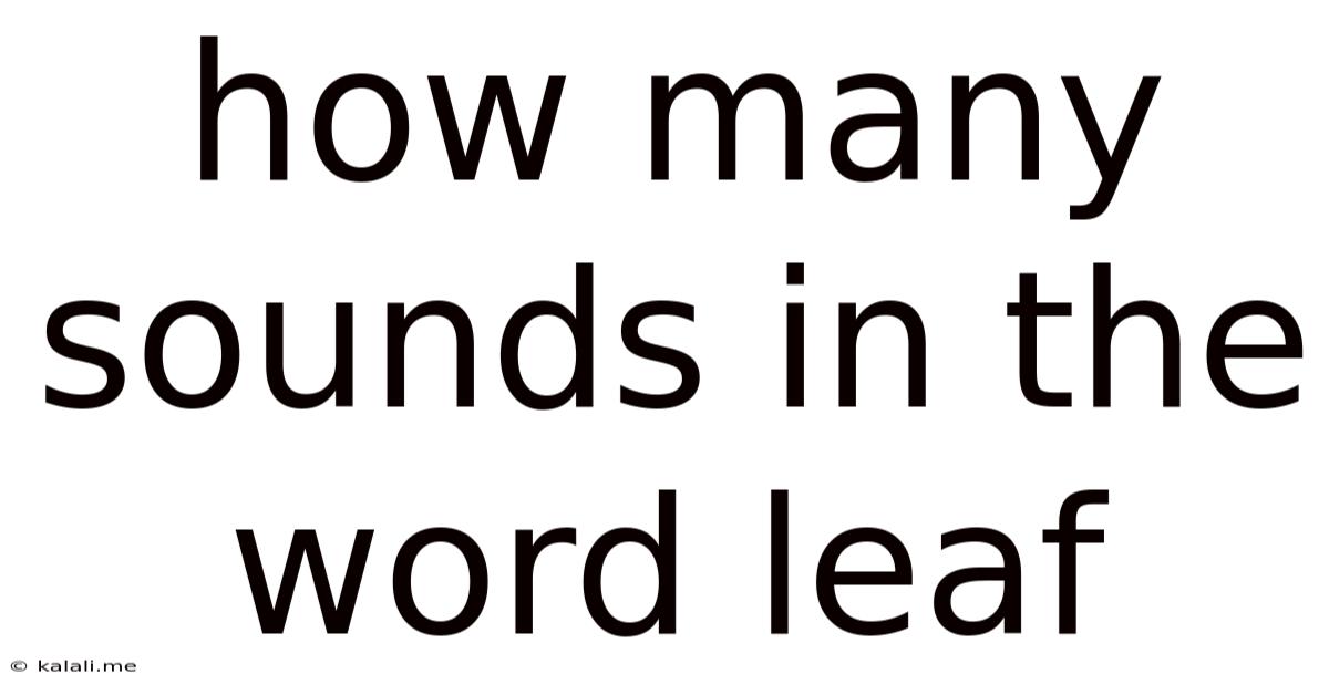 How Many Sounds In The Word Leaf