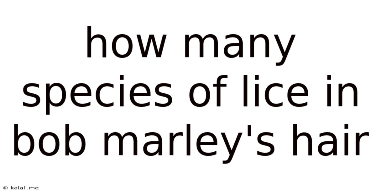 How Many Species Of Lice In Bob Marley's Hair