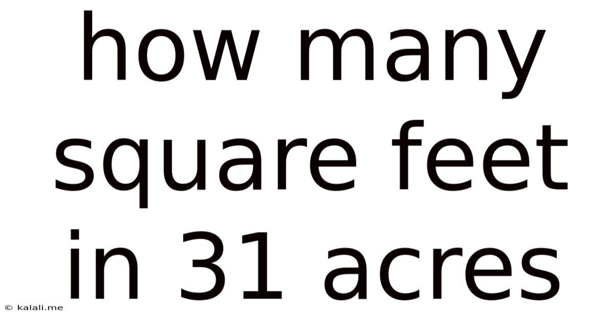 How Many Square Feet In 31 Acres