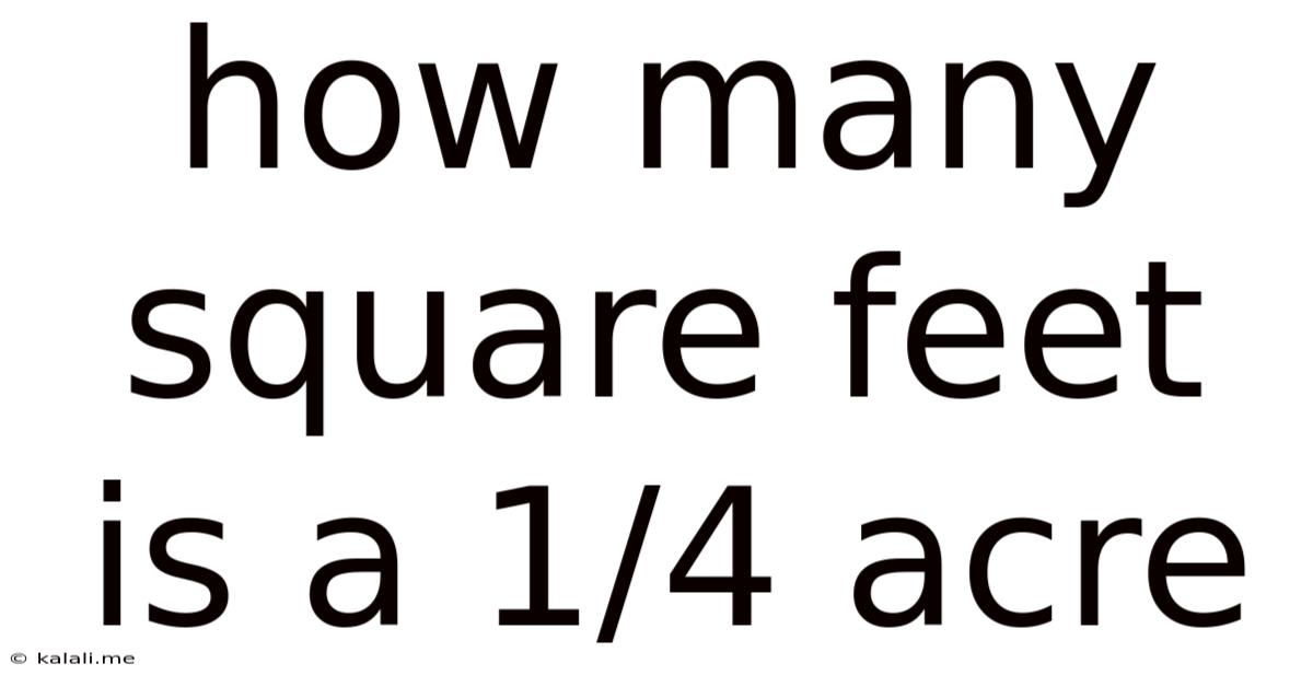 How Many Square Feet Is A 1/4 Acre