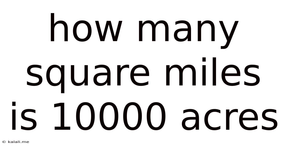 How Many Square Miles Is 10000 Acres