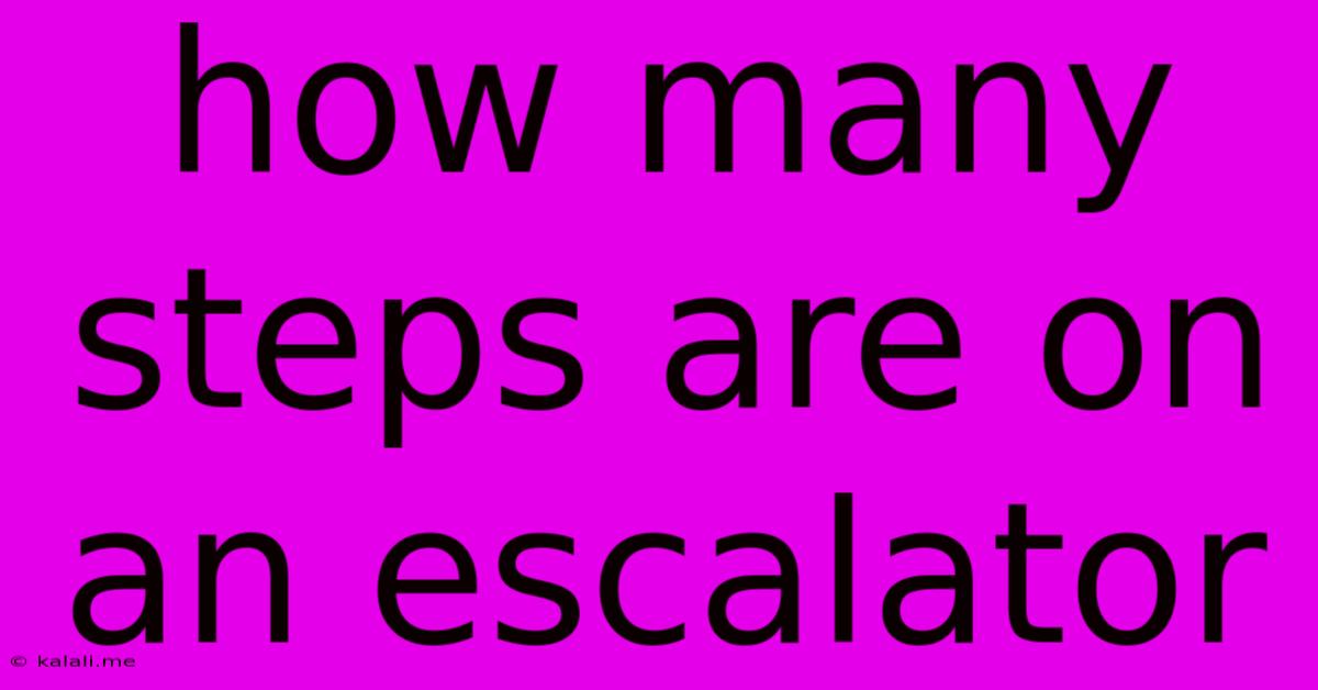 How Many Steps Are On An Escalator