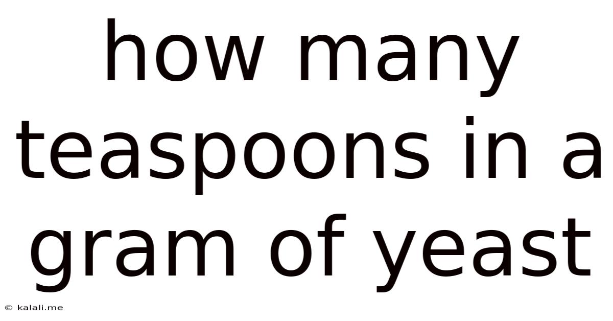How Many Teaspoons In A Gram Of Yeast