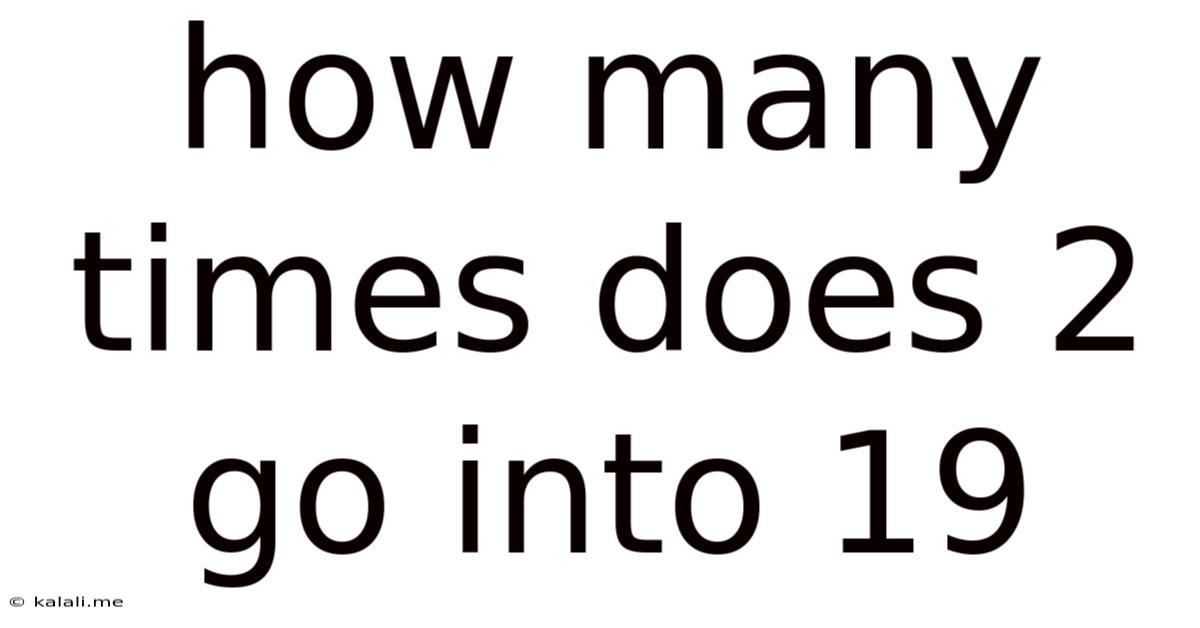 How Many Times Does 2 Go Into 19