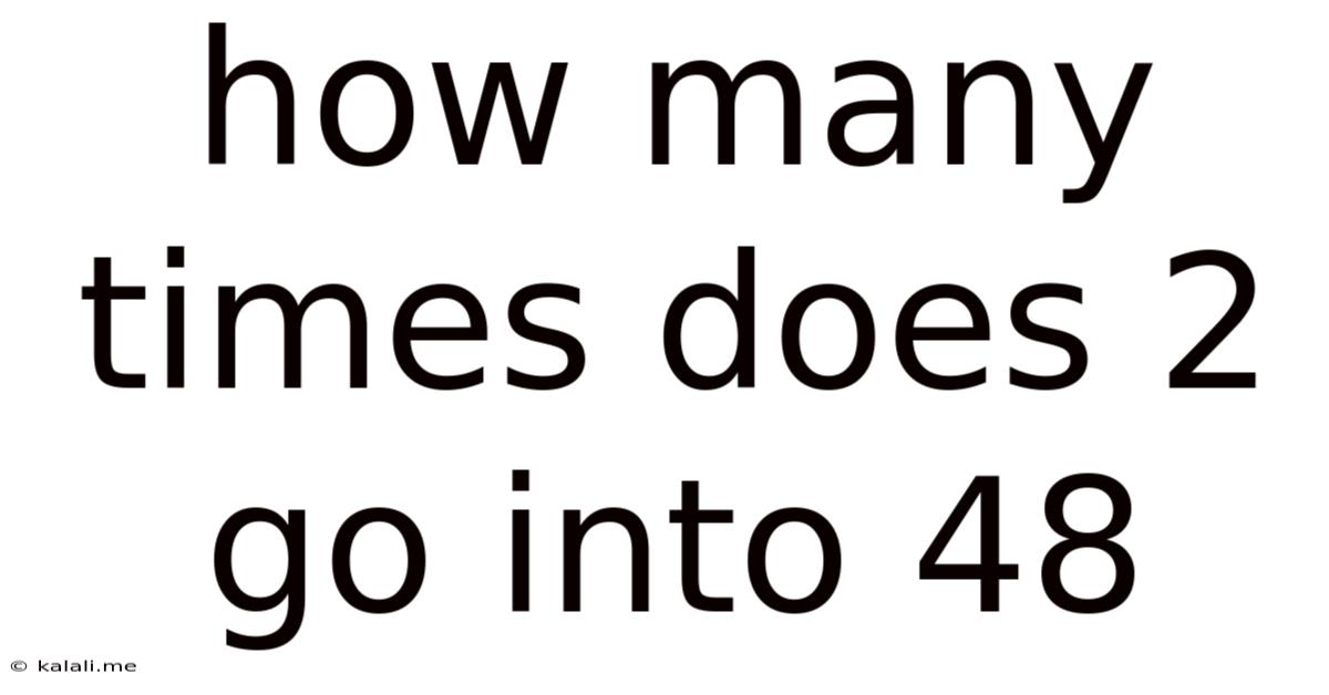 How Many Times Does 2 Go Into 48
