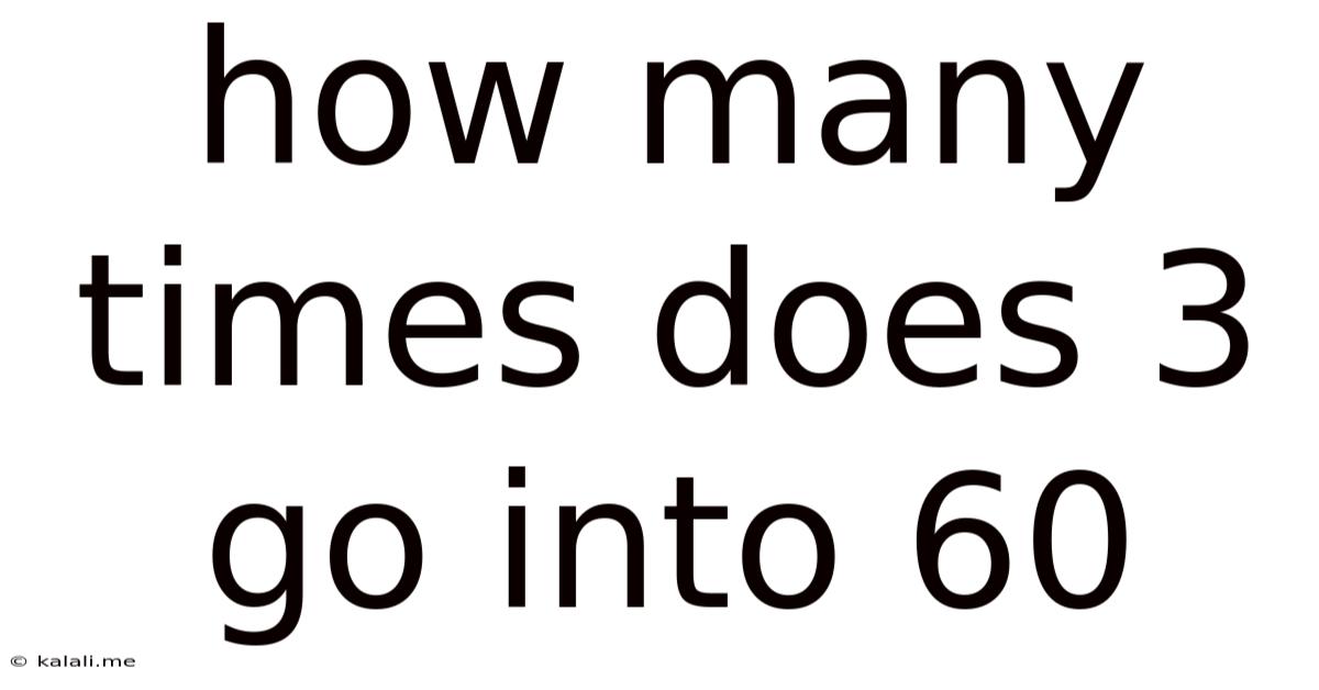 How Many Times Does 3 Go Into 60