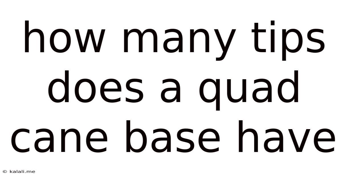 How Many Tips Does A Quad Cane Base Have