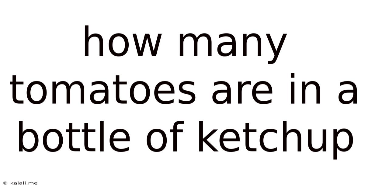 How Many Tomatoes Are In A Bottle Of Ketchup