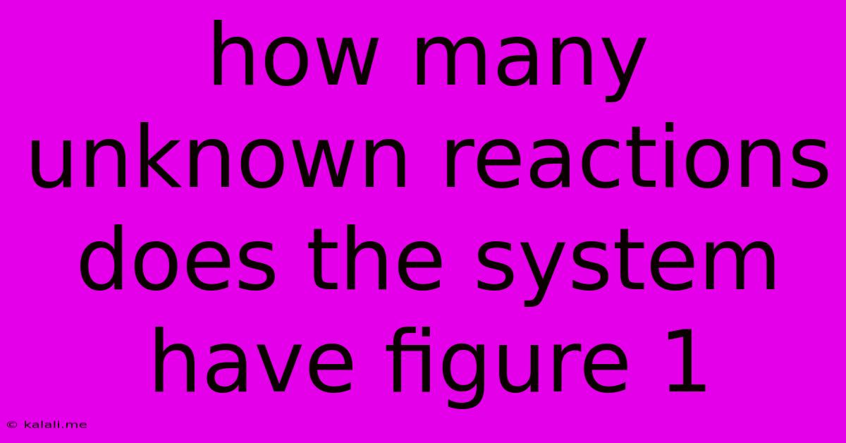 How Many Unknown Reactions Does The System Have Figure 1