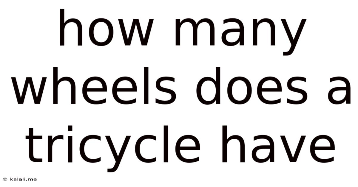 How Many Wheels Does A Tricycle Have