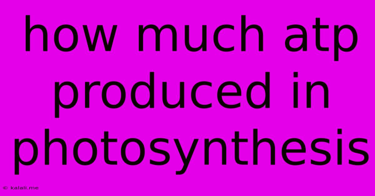 How Much Atp Produced In Photosynthesis