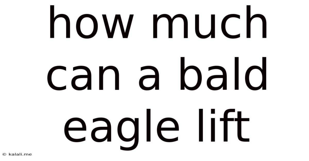 How Much Can A Bald Eagle Lift