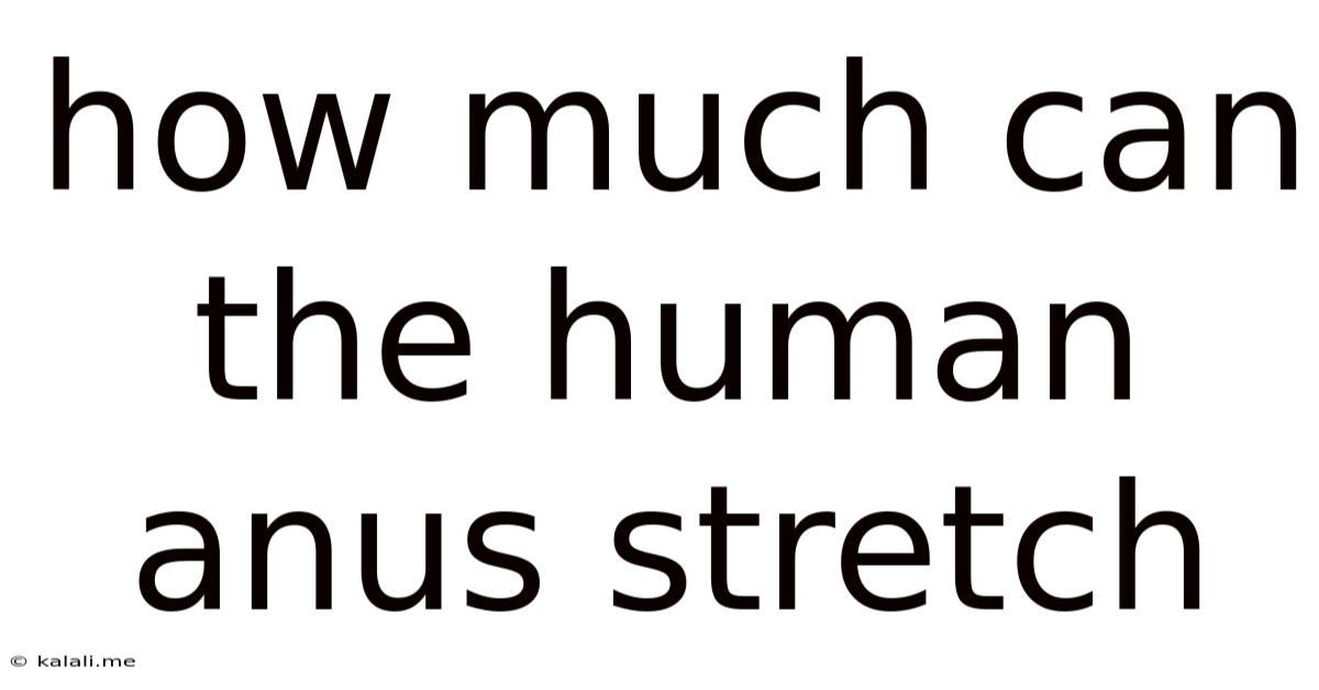 How Much Can The Human Anus Stretch