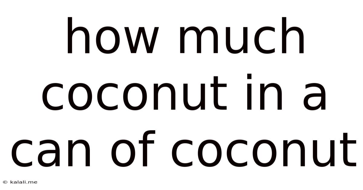 How Much Coconut In A Can Of Coconut