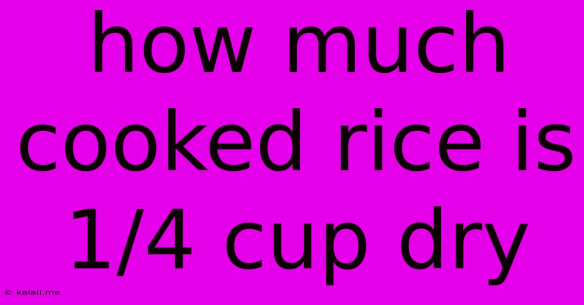 How Much Cooked Rice Is 1/4 Cup Dry
