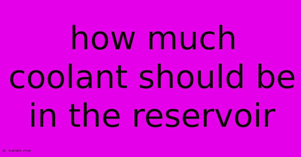 How Much Coolant Should Be In The Reservoir