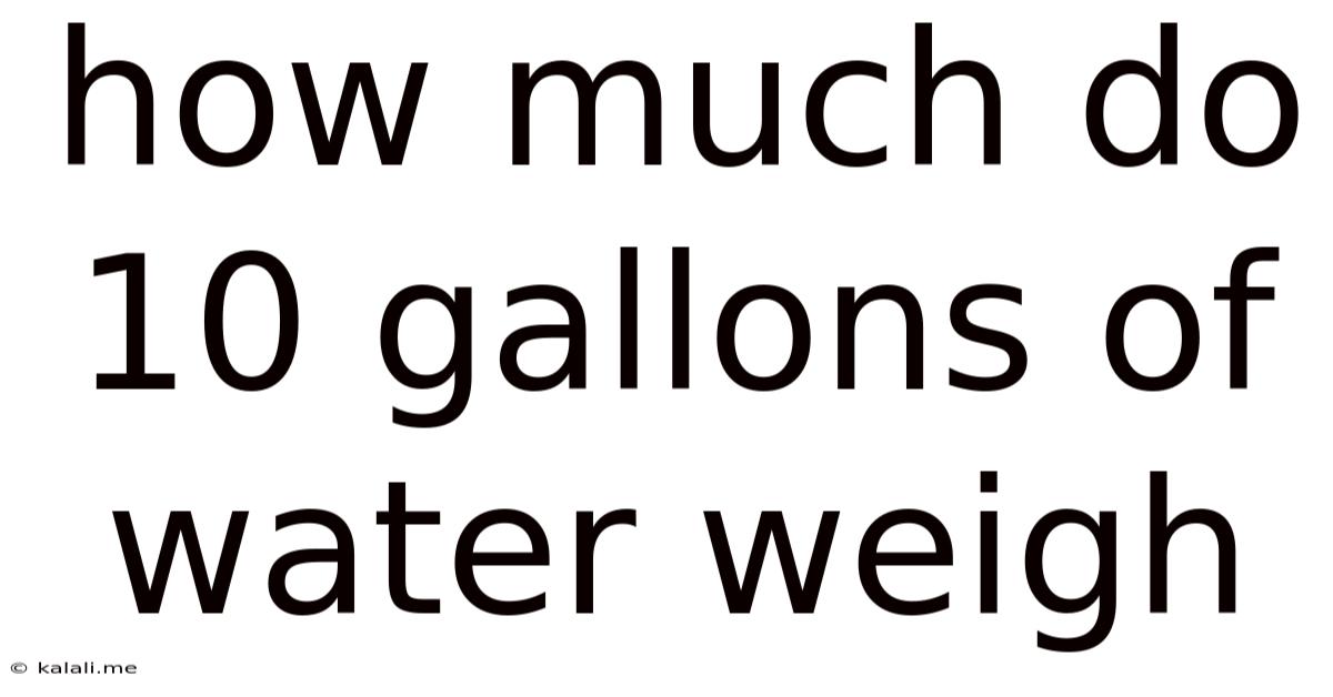 How Much Do 10 Gallons Of Water Weigh
