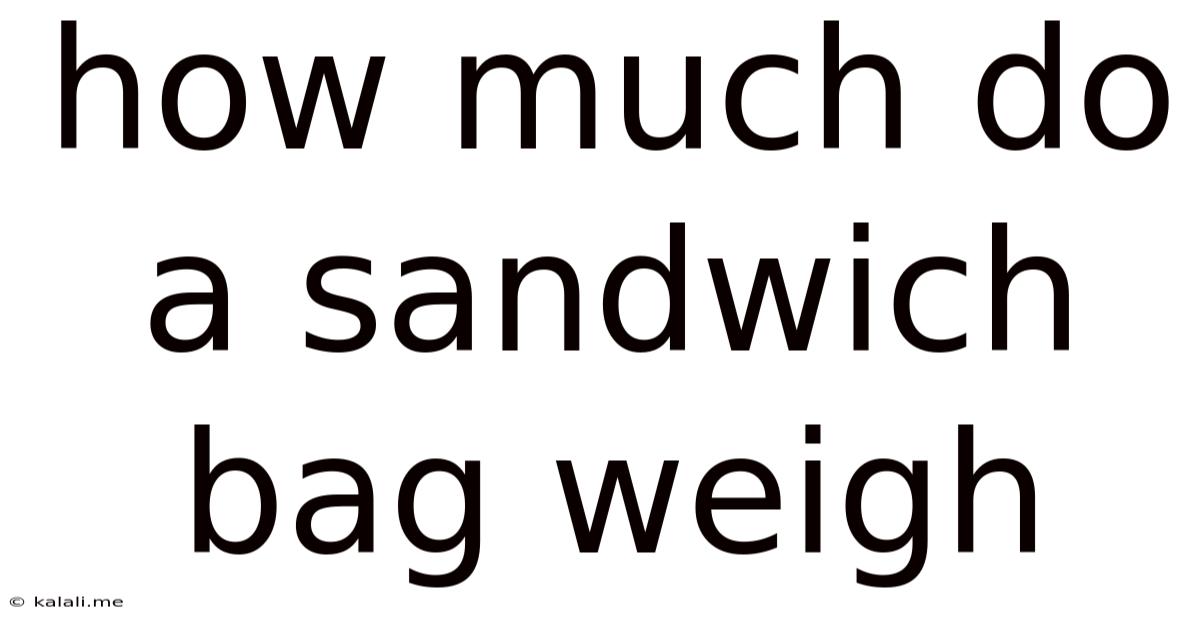 How Much Do A Sandwich Bag Weigh