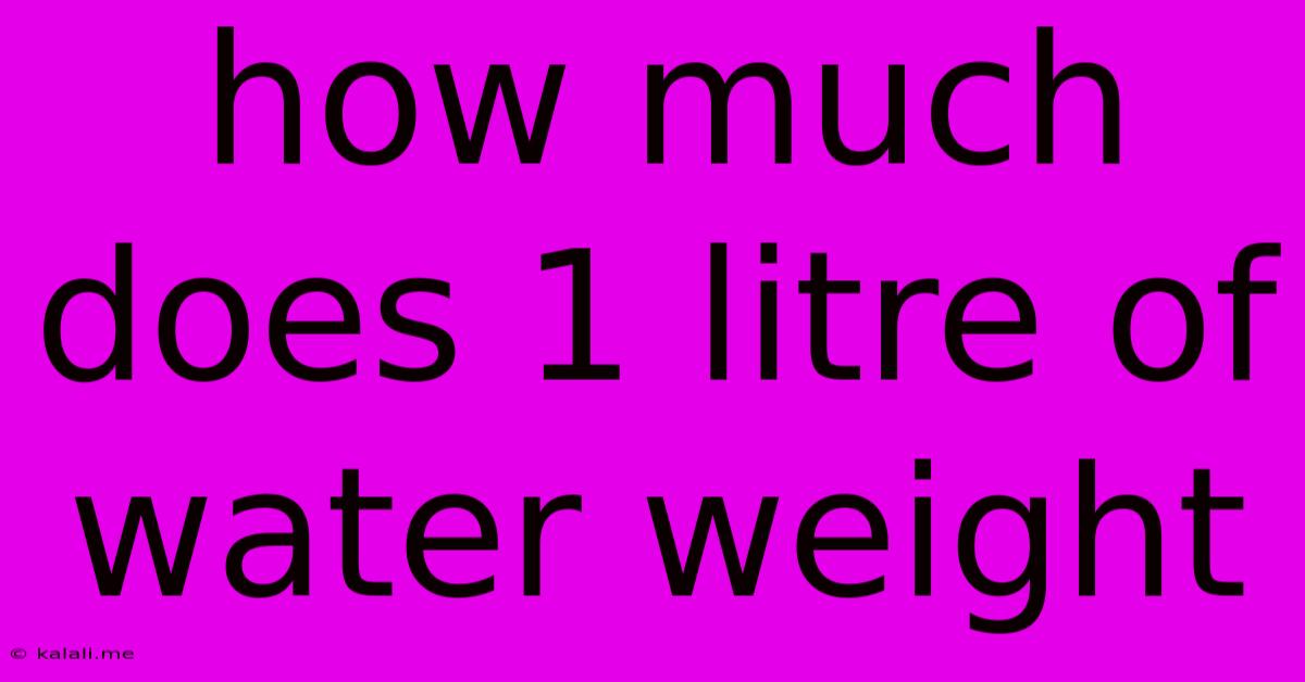 How Much Does 1 Litre Of Water Weight