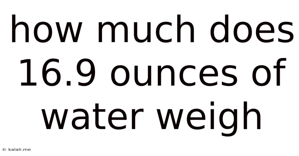 How Much Does 16.9 Ounces Of Water Weigh