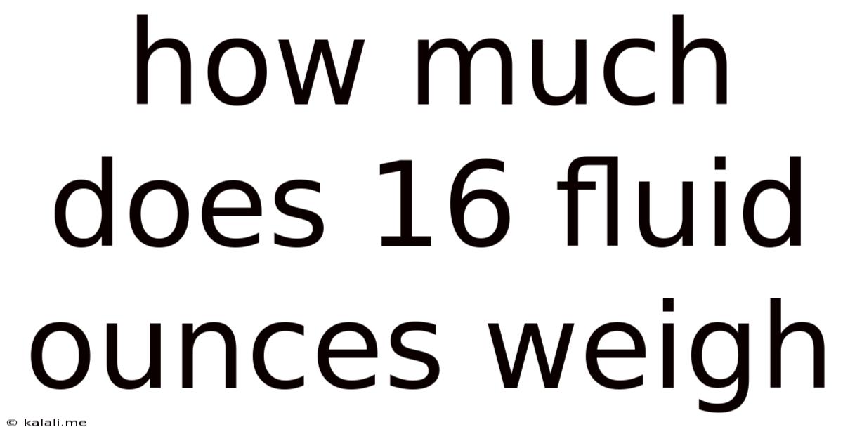 How Much Does 16 Fluid Ounces Weigh